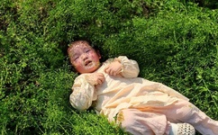 美女被啪到最深处流白浆